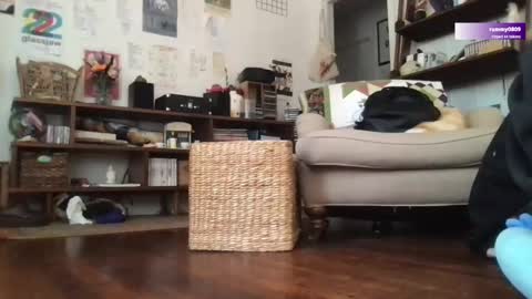 Snapshot of boywithbug chatting on 03/12/25, 06:44 boywithbug online show from 03/12/25, 06:44