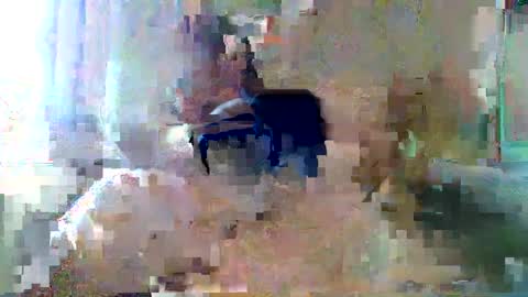 Snapshot of bpbww chatting on 09/19/25, 04:40 bpbww online show from 09/19/25, 04:40