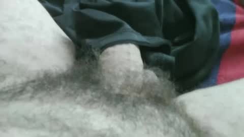 bpllpd online show from 01/16/26, 03:49