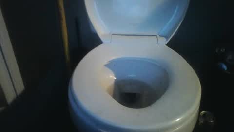 Snapshot of bradynoggle chatting on 01/18/25, 09:55 bradynoggle online show from 01/18/25, 09:55