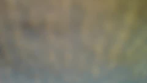 Snapshot of bradynoggle chatting on 02/12/25, 06:40 bradynoggle online show from 02/12/25, 06:40