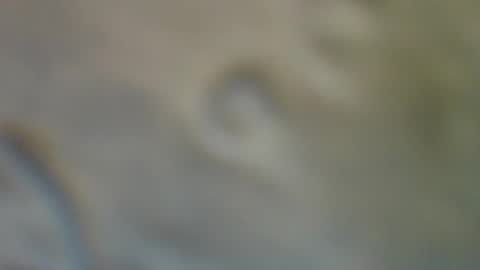 Snapshot of bradynoggle chatting on 09/11/25, 02:55 bradynoggle online show from 09/11/25, 02:55