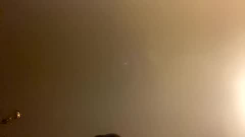 Snapshot of brain_ortega chatting on 02/28/26, 01:01 Brain Ortega online show from 02/28/26, 01:01