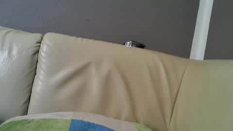 bramer8787 online show from 02/09/25, 05:29