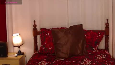 Snapshot of brandi_ross_ chatting on 11/19/25, 08:42 Brandy online show from 11/19/25, 08:42