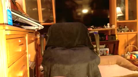 Brandi online show from 10/22/25, 01:17