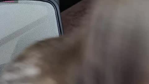 Brandy Gem online show from 02/10/26, 07:23