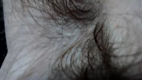 Snapshot of branflakes_ chatting on 02/21/25, 11:10 branflakes_ online show from 02/21/25, 11:10