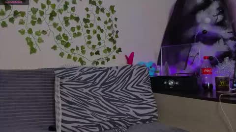 Johny Bravo online show from 01/13/26, 08:03