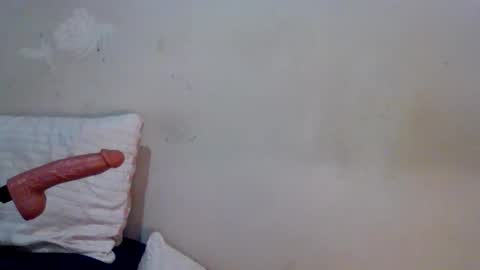 Snapshot of braziliancheeks chatting on 03/28/26, 04:06 braziliancheeks online show from 03/28/26, 04:06