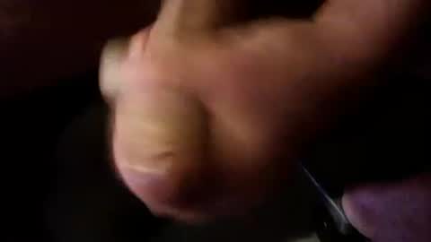 Snapshot of breeder88 chatting on 09/28/25, 10:04 Breeder online show from 09/28/25, 10:04