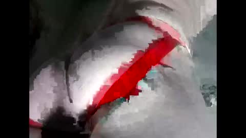 Snapshot of breezyy8 chatting on 11/19/25, 06:02 Anal-Prince online show from 11/19/25, 06:02