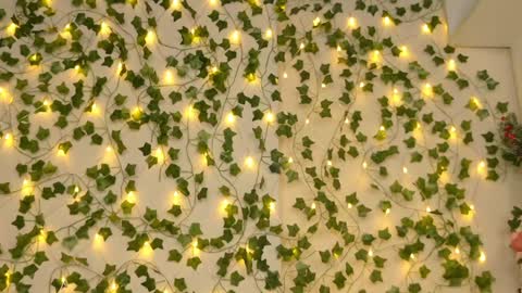 Snapshot of brenda_m00n chatting on 01/05/25, 09:25 Brenda online show from 01/05/25, 09:25