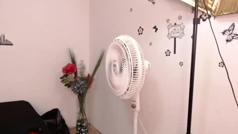 Snapshot of brenda_maz chatting on 01/29/25, 03:15 Brenda  online show from 01/29/25, 03:15