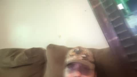 brennenangelle24atgmailcom online show from 07/18/26, 09:51
