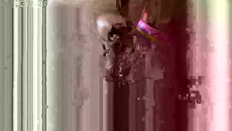 brewfan65 online show from 10/24/25, 08:49