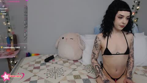 Brianna online show from 12/12/24, 12:48