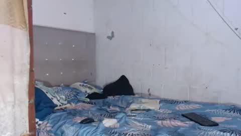 Snapshot of brianadollts1 chatting on 04/12/26, 10:04 brianadollts1 online show from 04/12/26, 10:04