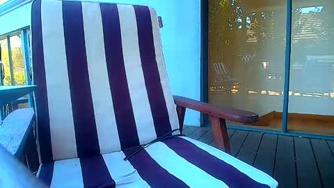 Snapshot of bridie3079 chatting on 02/20/26, 06:19 Fun Monster online show from 02/20/26, 06:19