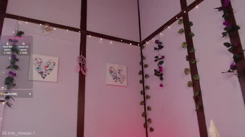 Snapshot of brie_cheese1 chatting on 01/04/25, 07:13 Brie  Ill be away November 2829 and 30. See u on Sunday for more fun online show from 01/04/25, 07:13