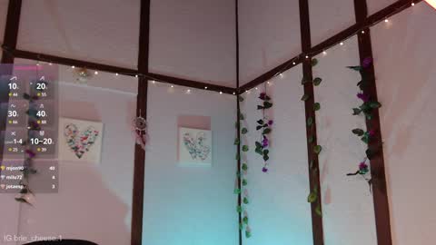 Snapshot of brie_cheese1 chatting on 02/03/25, 08:57 Brie  Ill be away November 2829 and 30. See u on Sunday for more fun online show from 02/03/25, 08:57