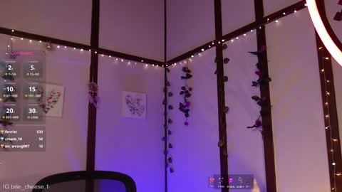 Snapshot of brie_cheese1 chatting on 02/12/25, 08:07 Brie  Ill be away November 2829 and 30. See u on Sunday for more fun online show from 02/12/25, 08:07