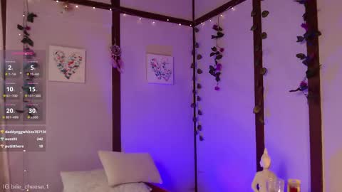 Snapshot of brie_cheese1 chatting on 02/19/25, 08:41 Brie  Ill be away November 2829 and 30. See u on Sunday for more fun online show from 02/19/25, 08:41