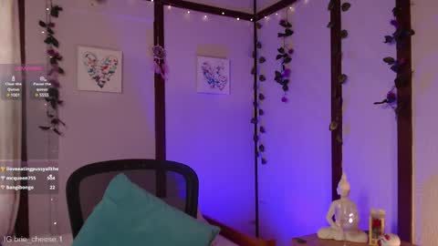 Snapshot of brie_cheese1 chatting on 02/20/25, 08:14 Brie  Ill be away November 2829 and 30. See u on Sunday for more fun online show from 02/20/25, 08:14