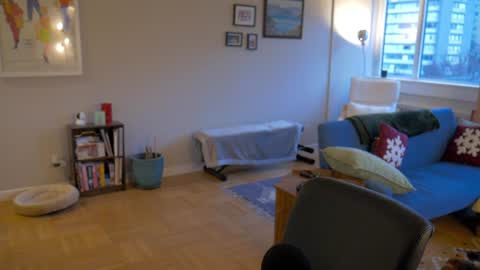 bright bi online show from 12/29/24, 11:29