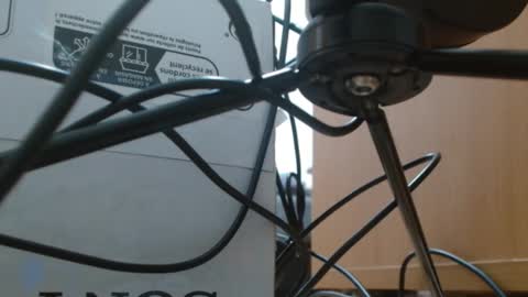 brigittebia777 online show from 10/10/25, 03:38