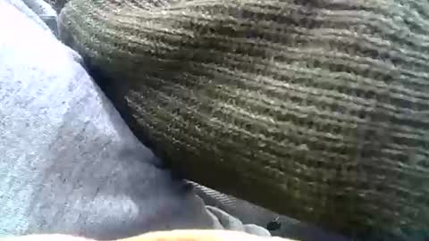 Josh online show from 12/31/24, 02:29