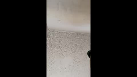 Brittany  online show from 03/31/26, 12:38