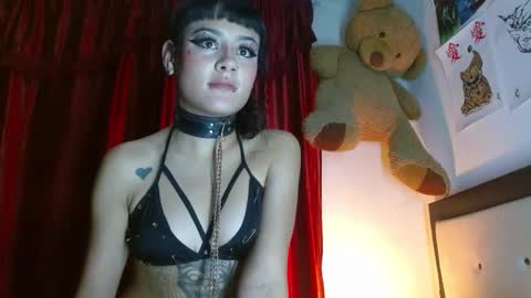 maru miaw   Please help me to reach 100 thumbs up online show from 02/03/25, 06:56