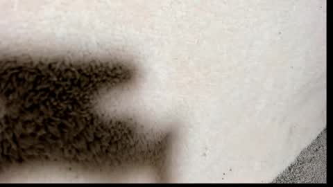 Snapshot of brockhurn_ chatting on 09/15/25, 02:00 brockhurn_ online show from 09/15/25, 02:00