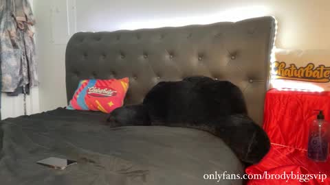 Brody Biggs online show from 01/09/26, 08:21