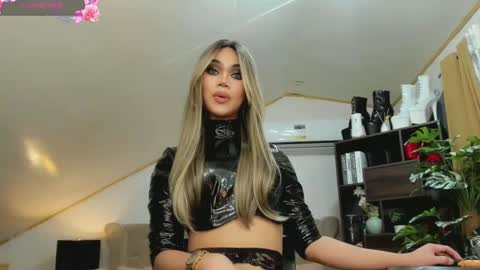 Snapshot of brooke_lynnhyts chatting on 12/21/24, 04:52 Brooke Shimmers IG online show from 12/21/24, 04:52