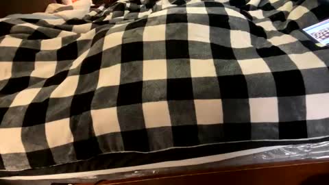 brownbootie1 online show from 01/07/25, 04:05