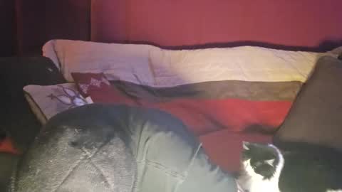 Snapshot of brownboyt chatting on 12/19/25, 05:58 brownboyt online show from 12/19/25, 05:58