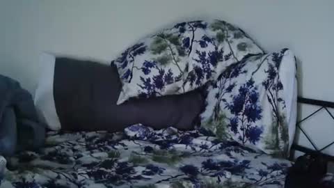 Snapshot of bruc12168 chatting on 02/20/25, 12:04 Bruc12168 fit slim new makemecum bigdick edging online show from 02/20/25, 12:04