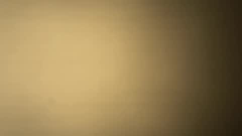 Snapshot of brucedog1983 chatting on 12/07/24, 01:25 BRUCE online show from 12/07/24, 01:25