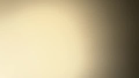 Snapshot of brucedog1983 chatting on 12/26/24, 02:33 BRUCE online show from 12/26/24, 02:33