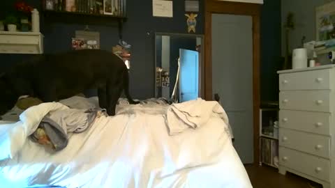 Snapshot of brunettebaby040 chatting on 09/13/25, 05:13 brunettebaby040 online show from 09/13/25, 05:13