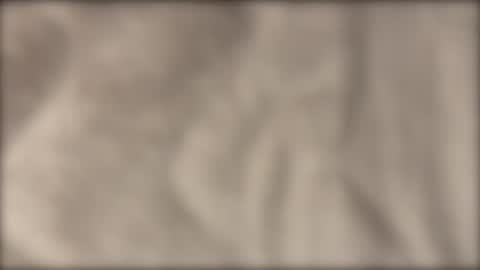 lvdy online show from 02/22/26, 10:14