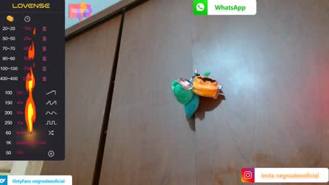Snapshot of bryan_colen chatting on 01/27/25, 02:10 Enjoy the best muscle straws   online show from 01/27/25, 02:10