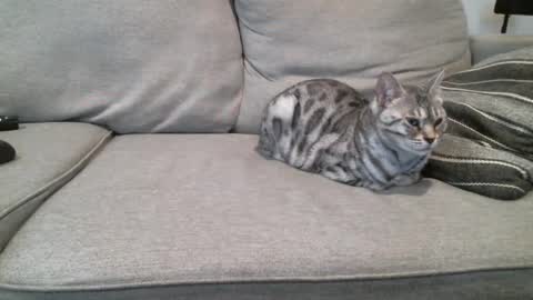 Buck online show from 03/03/25, 03:42