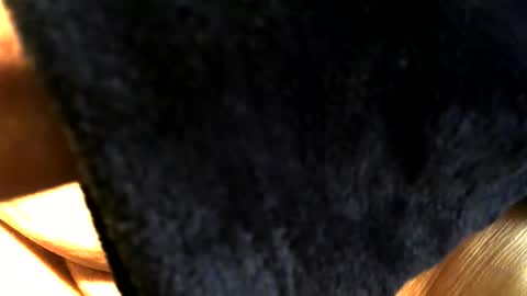 Snapshot of buck_shot chatting on 03/15/26, 03:40 Buck online show from 03/15/26, 03:40