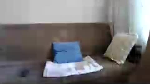 Snapshot of buckwessle chatting on 07/23/26, 12:36 Buck Wessle online show from 07/23/26, 12:36