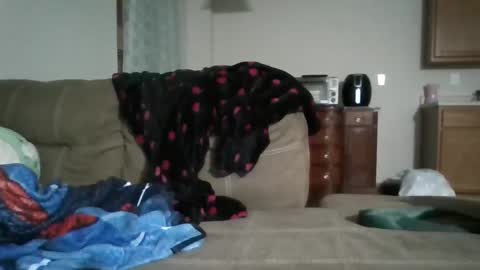 Bud42o online show from 09/09/25, 04:56