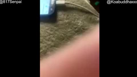 Snapshot of buddhax chatting on 11/27/25, 11:56 Koa Kobe online show from 11/27/25, 11:56