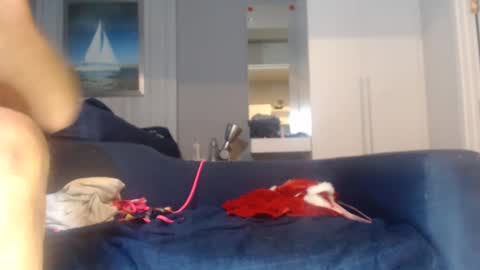 buddiup2 online show from 12/15/24, 08:52